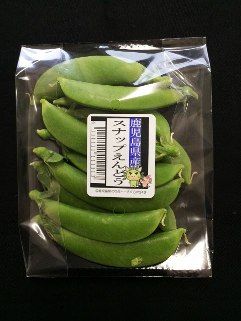 青果用野菜4