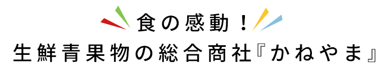 食の感動！生鮮青果物の総合商社「かねやま」