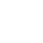 Q&A