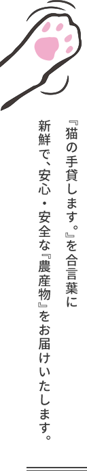 「猫の手貸します。」を合言葉に、新鮮で、安心・安全な「農産物」をお届けいたします。